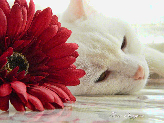 城市马拉松引入节能赛事装备展示区，2021城市马拉松