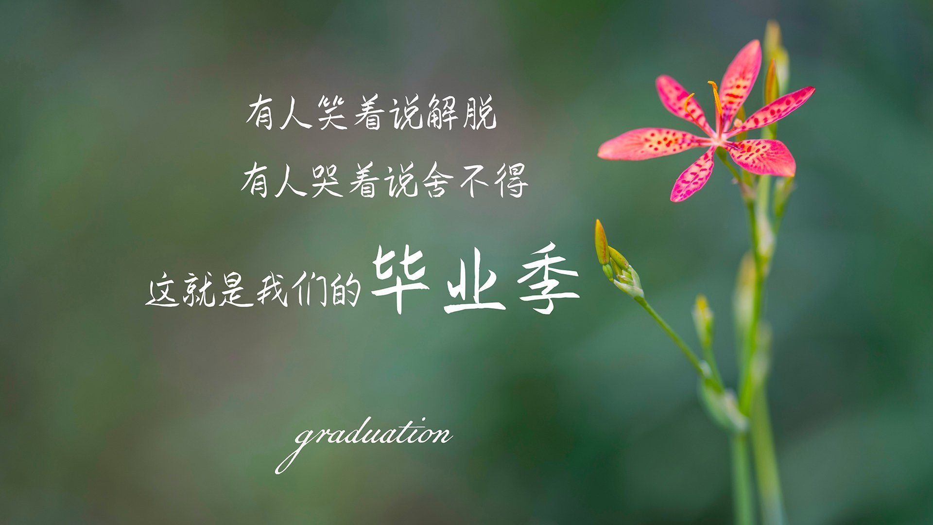 新闻中心推出品牌新形象，全新品牌形象